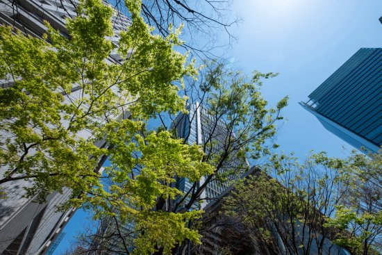 Column: Midsized Companies Are Key to Scaling Up Climate Solutions